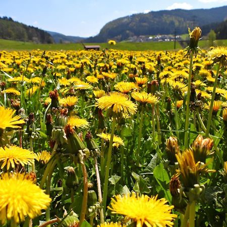 Feriendomizil Bergamini Daire Bischoffingen Dış mekan fotoğraf