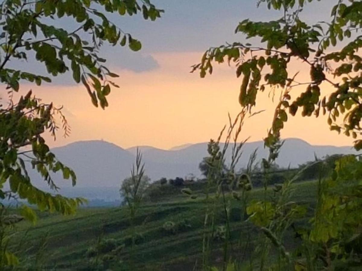 Feriendomizil Bergamini Daire Bischoffingen Dış mekan fotoğraf