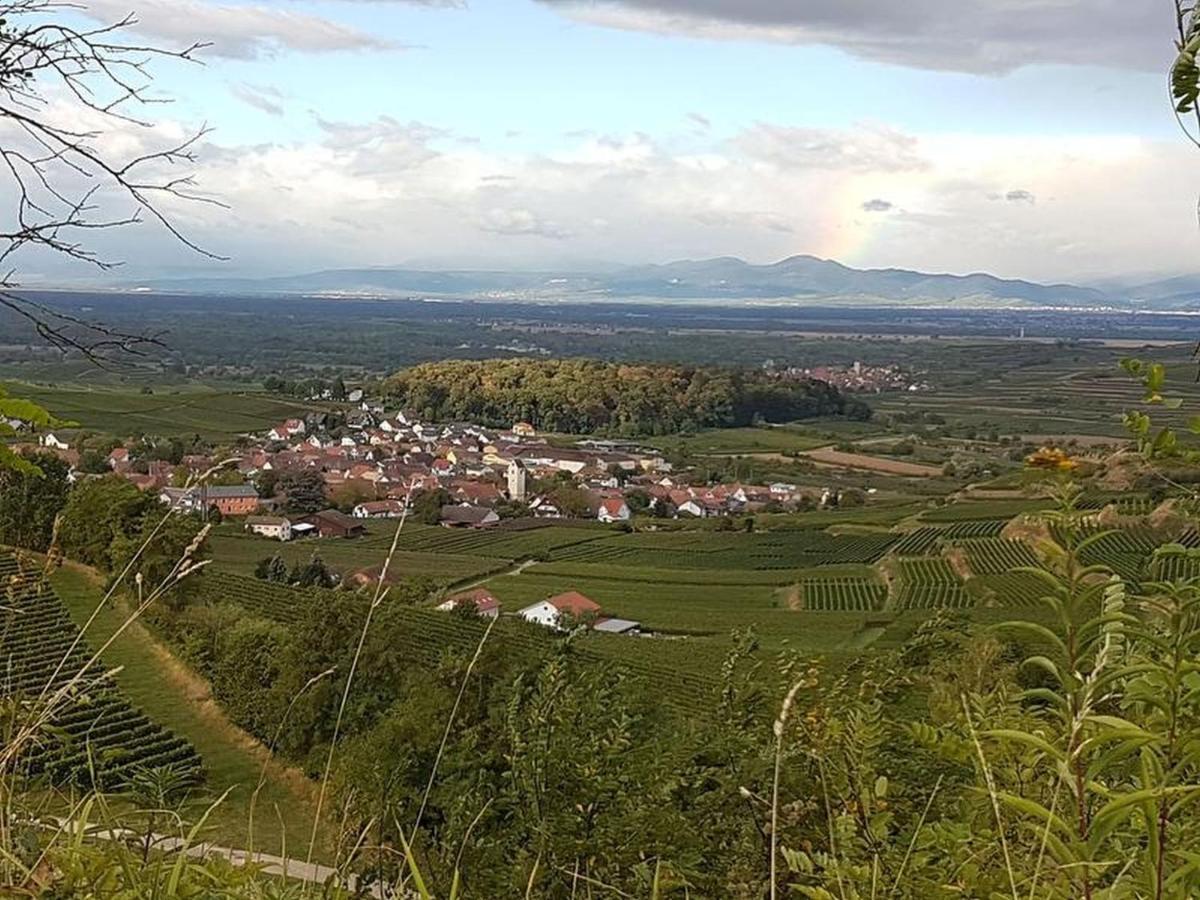 Feriendomizil Bergamini Daire Bischoffingen Dış mekan fotoğraf