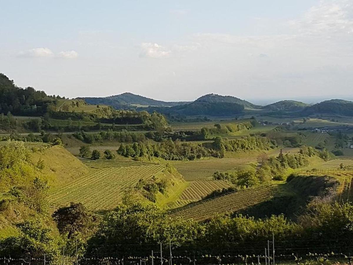 Feriendomizil Bergamini Daire Bischoffingen Dış mekan fotoğraf