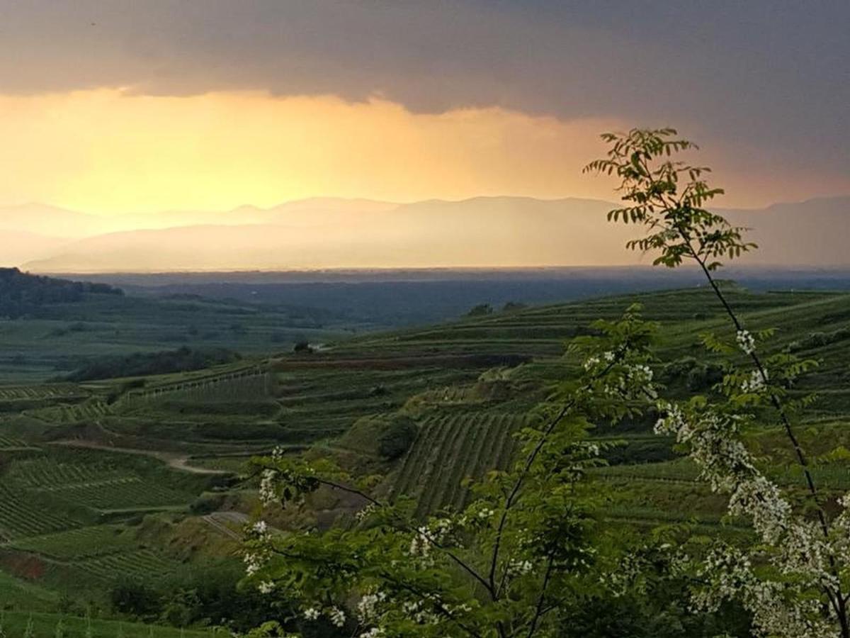 Feriendomizil Bergamini Daire Bischoffingen Dış mekan fotoğraf